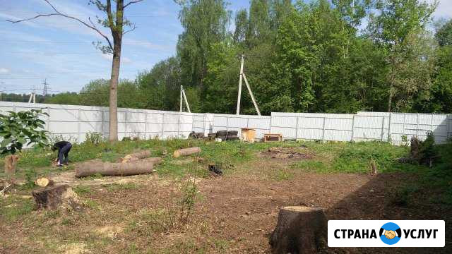 Пнедробилка (измельчитель пней) Жуковский - изображение 1