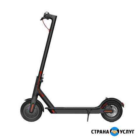 Аренда Электросамоката Москва