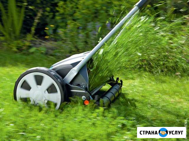 Покос травы Поварово - изображение 1