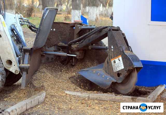 Аренда погрузчика Bobcat с измельчителем пней Саратов - изображение 1