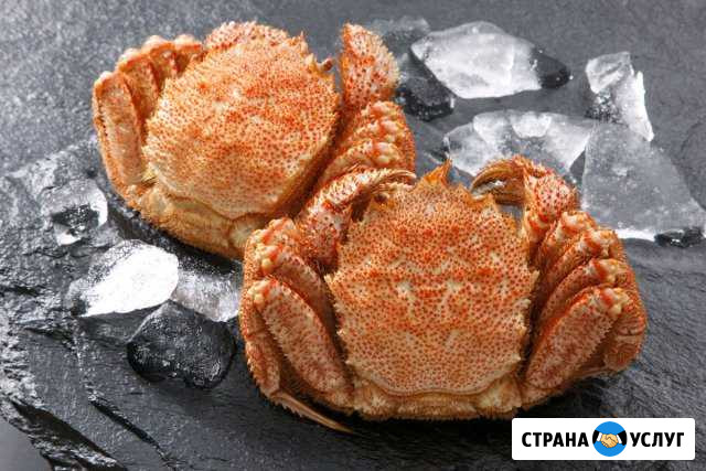 Крабы, Креветки, Икра, Рыба Горно-Алтайск - изображение 1