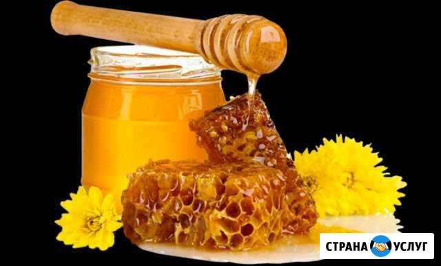Мёд Гвардейск - изображение 1