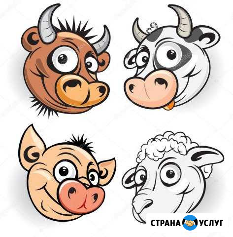 Забой скота Строитель - изображение 1