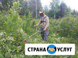 Снос ветхих деревьев расчистка участков Сочи