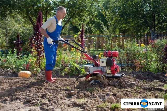 Сад благоустройство Егорьевск - изображение 1