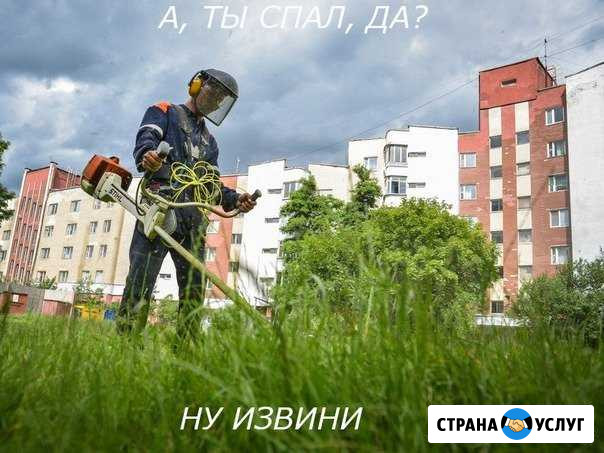 Покос травы Северск - изображение 1