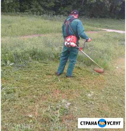 Скос травы бурьяна бензотриммером Казань