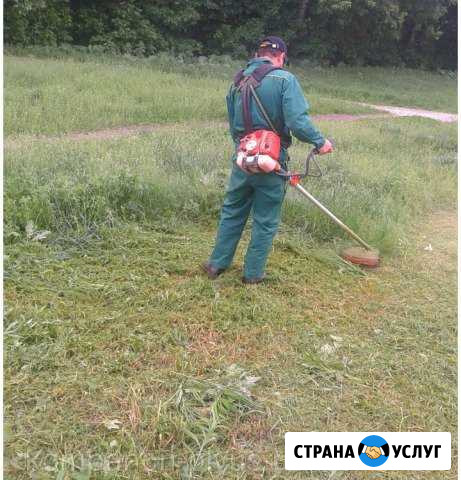 Скос травы бурьяна бензотриммером Казань - изображение 1