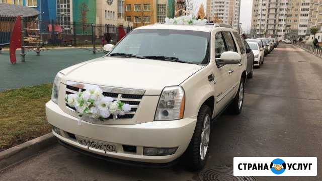 Аренда Авто с водителем Москва - изображение 1
