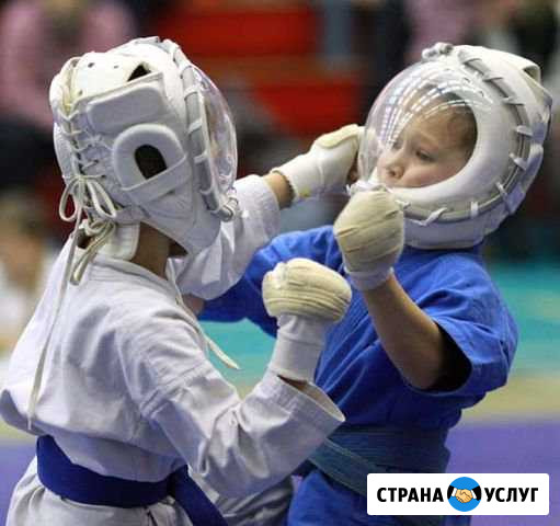 Кудо (бокс, карате, таэквон-до, дзюдо, самбо) Ставрополь - изображение 1