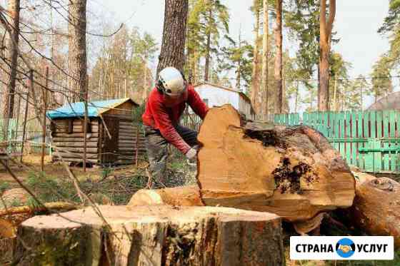 Удаление деревьев Красногорск