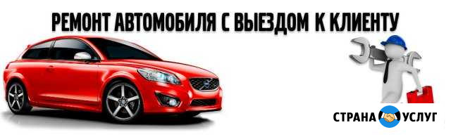 Автоэлектрик с выездом. Ремонт авто Бор - изображение 1