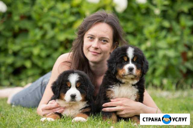 Зоогостиница, догситтер, dogsite для собак и кошек Смоленск - изображение 1