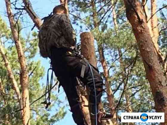 Спил деревьев, кустов Армавир