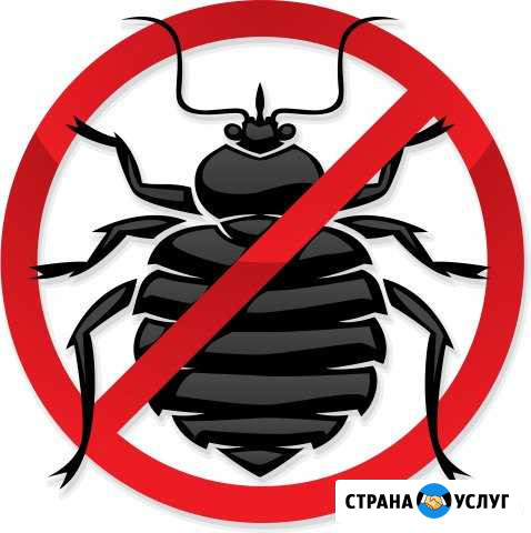 Уничтожение клопов, тараканов, муравьёв Когалым - изображение 1