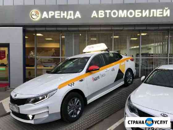 Аренда машины под такси Kia Rio и Kia Optima Москва