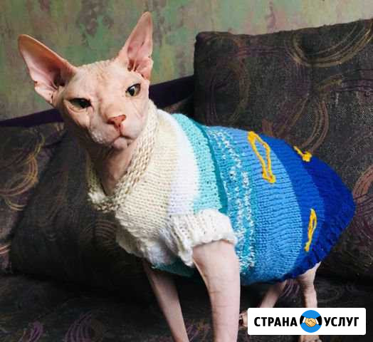 Одежда для питомцев Мирный - изображение 1
