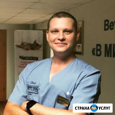 Ветеринарный врач Подольск - изображение 1