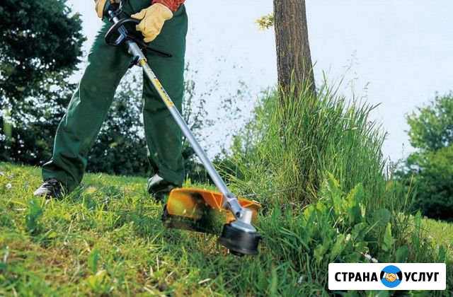 Скос травы Минусинск - изображение 1