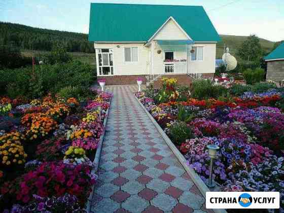 Производство Тротуарной плитки Коломна