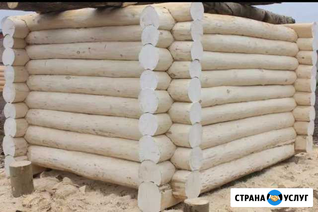 Срубы из осины Параньга - изображение 1
