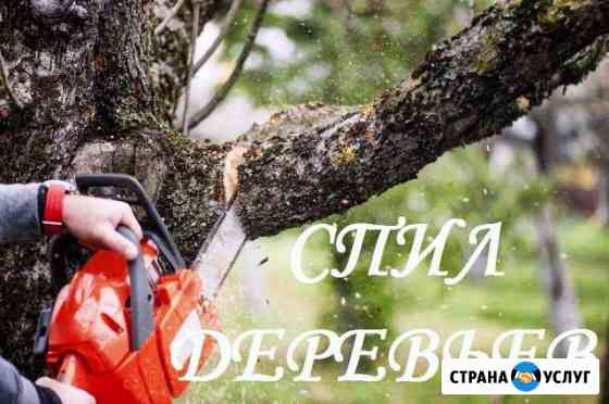 Спилить дерево Спил Кронирование Спиливание Воронеж