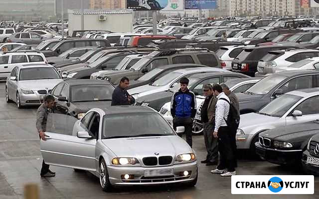 Пригоню Авто с Армении под заказ Хадыженск - изображение 1