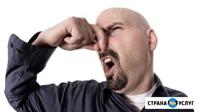 Устранение неприятных запахов в квартире Хабаровск - изображение 1