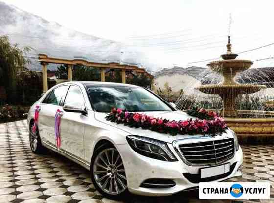 Аренда Мерседес S 222 Mersedes S222 Е213 Выселки