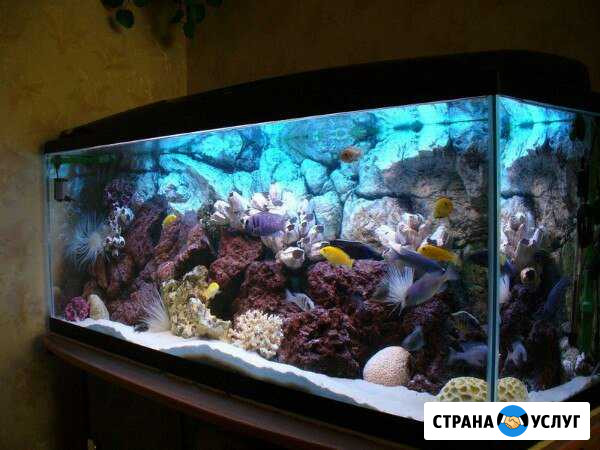 Чистка аквариумов любых форм и размеров Санкт-Петербург - изображение 1