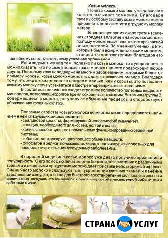 Продукты питания Дивеево - изображение 1