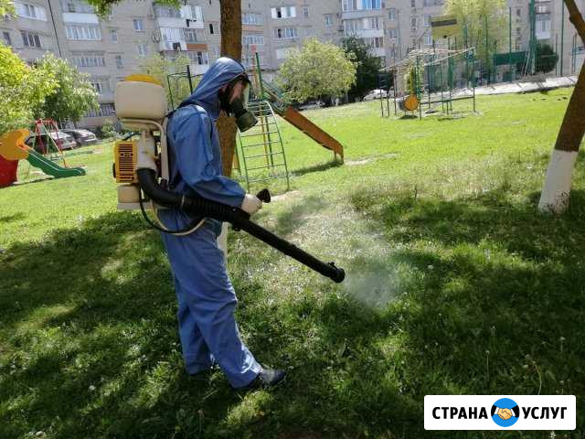 Травим тараканов, клопов, блох, муравьев, клещей Каменск-Шахтинский - изображение 1