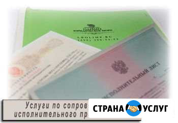 Сопровождение исполнительного производства в фссп Большое Село - изображение 1