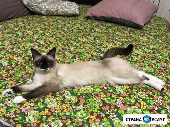 Вязка Нижневартовск