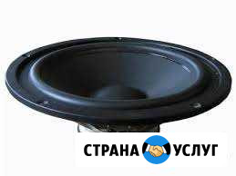 Ремонт динамиков Нижний Тагил - изображение 1