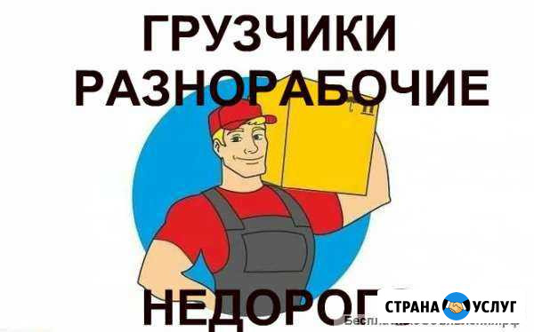 Грузчики Кострома - изображение 1