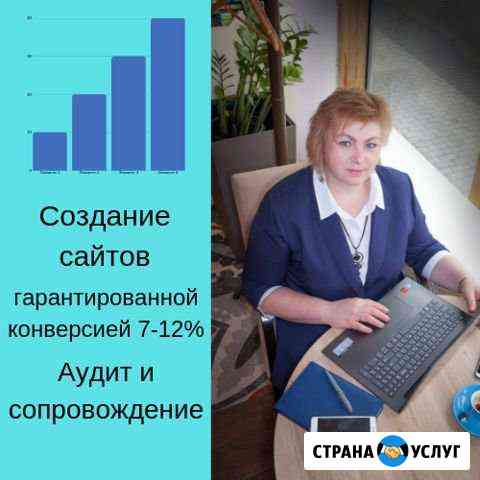 Создание сайтов. Оптимизация и настройка рекламы Химки
