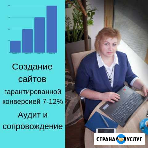 Создание сайтов. Оптимизация и настройка рекламы Химки - изображение 1