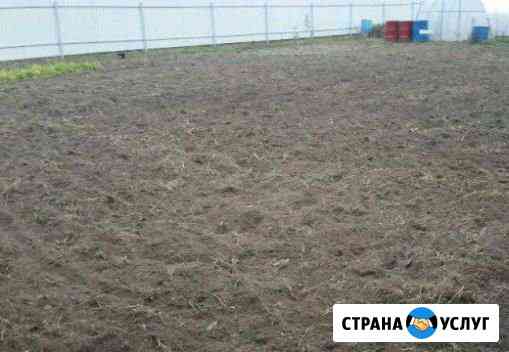 Вспашка участка, газон, расчистка в Химках Химки