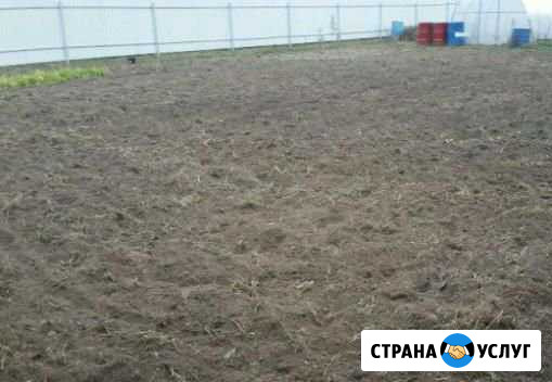 Вспашка участка, газон, расчистка в Химках Химки - изображение 1