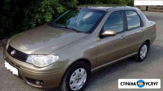Прокат авто Аренда авто в Севастополе Севастополь