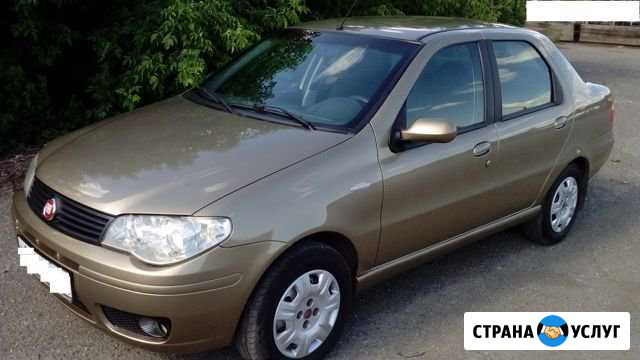 Прокат авто Аренда авто в Севастополе Севастополь - изображение 1