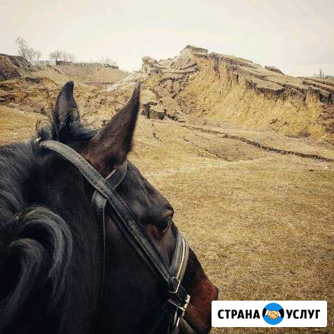 Конный прокат Черкесск Псыж - изображение 1