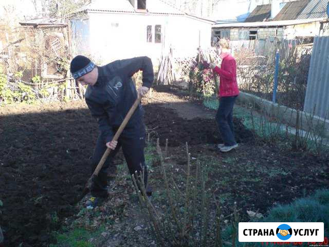 Разнарабоч Чехов - изображение 1