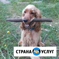 Вязка Протвино - изображение 1