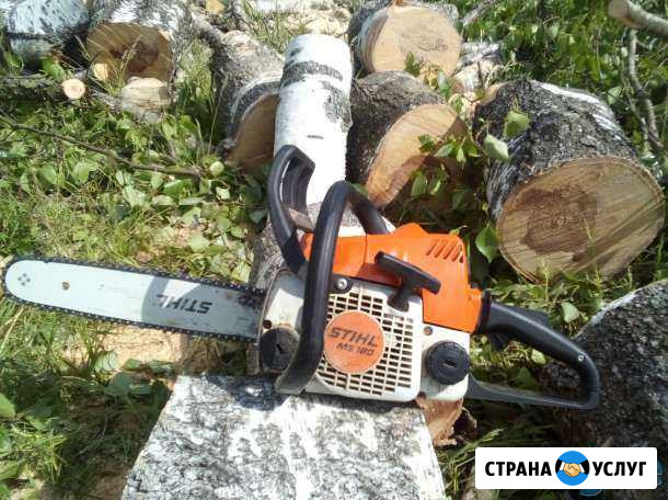 Спил деревьев, покос травы, вырубка поросли Шахты - изображение 1