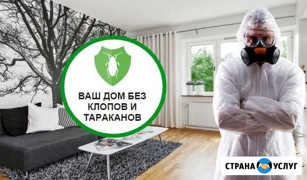 Уничтожение клопов и тараканов в Норильске Норильск - изображение 1