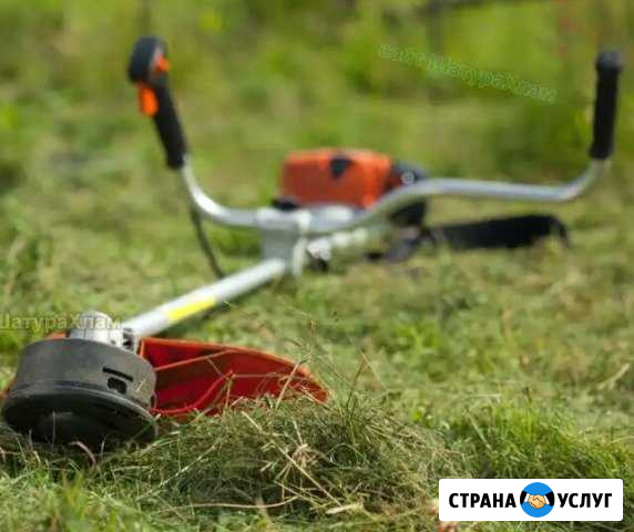 Покос травы Тимашевск - изображение 1