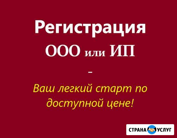 Регистрация ооо и ип онлайн без похода в налоговую Благовещенск - изображение 1