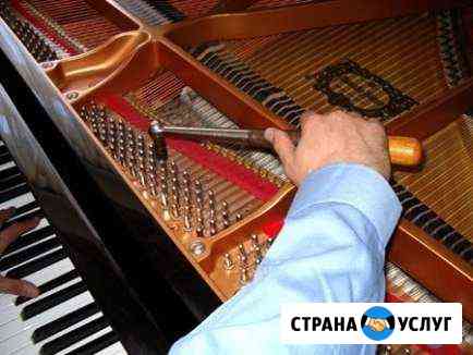 Настройка и ремонт любых пианино Знаменск
